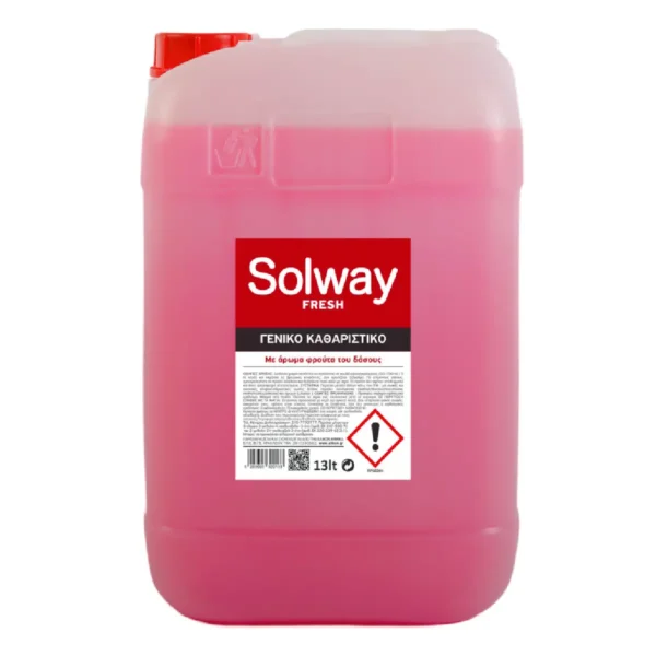 Solway Fresh Γενικό Καθαριστικό Φρούτα του Δάσους - 13L Alikon 006